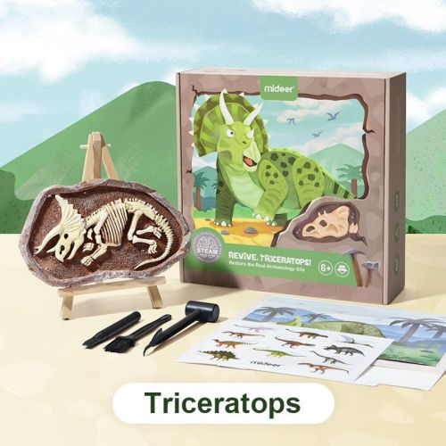 Vykopávání dinosaurů - Triceratops